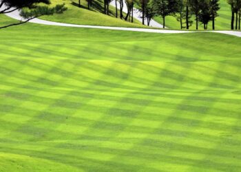 Campi da Golf: Quando il green può essere ecologico