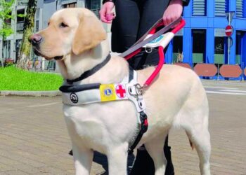 Pragelato: Golf e Solidarietà per il Servizio Cani Guida dei Lions