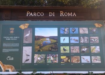 Parco di Roma Golf Club: un’eccellenza che unisce sport, natura e cultura